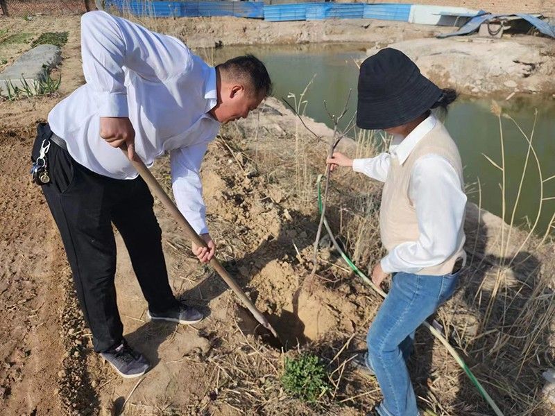 “春播添新綠，不負好春光”-城建新型材料公司黨支部開展主體黨日活動